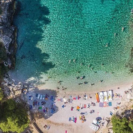 Amazing In With Wifi *